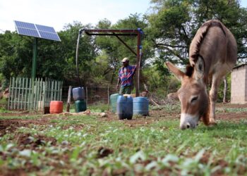 2024/25: A Budget of high expectations