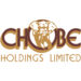 High tourism demand results in resurgent Chobe Holdings performance