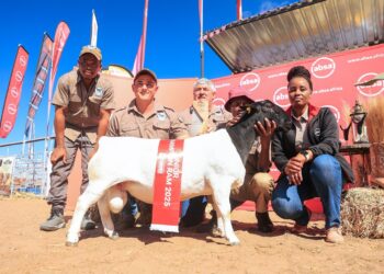 Absa Backs Agricultural Growth at Ghanzi Show