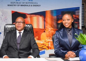 Botswana Eyes Regional Power Export Market