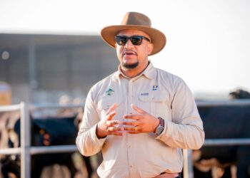 BDC Accelerates Drive to Cut Botswana’s Dairy Import Bill